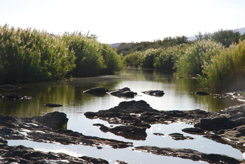 Touw River/Touwsrivier at Ockertskraal R323 of R62